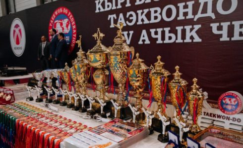 There was an Open TAEKWONDO GTF Championship of the Kyrgyz Republic in Bishkek city
